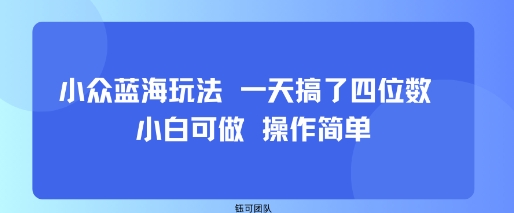 小众蓝海玩法 一天搞了四位数 小白可做 操作简单-juejinmima