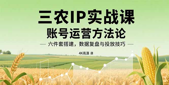 三农IP实战课：账号运营方法论，六件套搭建，数据复盘与投放技巧-juejinmima