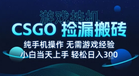 8月最新游戏搬砖，CSGO纯挂G，不需要玩游戏，实现真挂G，月入1W+【揭秘】-juejinmima