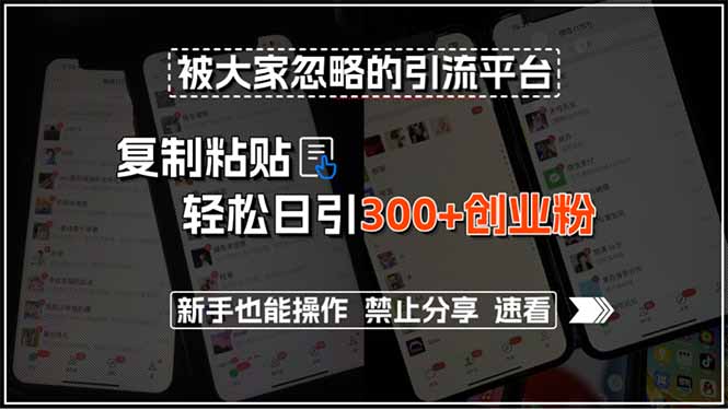 被大家忽略的引流平台，复制粘贴轻松日引300+创业粉，新手也能操作，禁…-juejinmima
