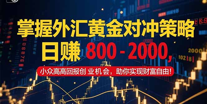 掌握外汇黄金对冲策略，日赚 800 – 2000，小众高回报创业机会，助你实…-juejinmima