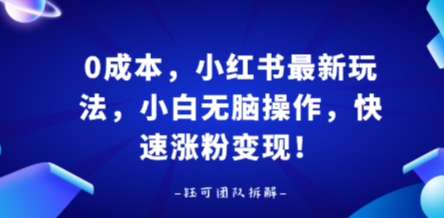 0成本，小红书最新玩法，小白无脑操作，快速涨粉变现-juejinmima