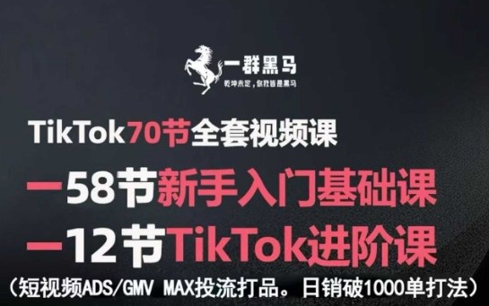 TikTok全套视频课，新手入门+进阶课，短视频ADS-GMV MAX投流打品，日销破1000单打法-juejinmima