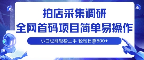 拍店采集调研，全网首码项目，简单易操作， 小白也能轻松上手，多账号操作，轻松日入5张【揭秘】-juejinmima