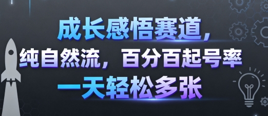 成长感悟赛道，纯自然流，百分百起号率 一天轻松多张-juejinmima