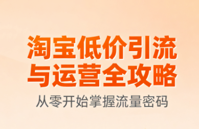 淘宝低价引流与运营全攻略(更新9月)-juejinmima