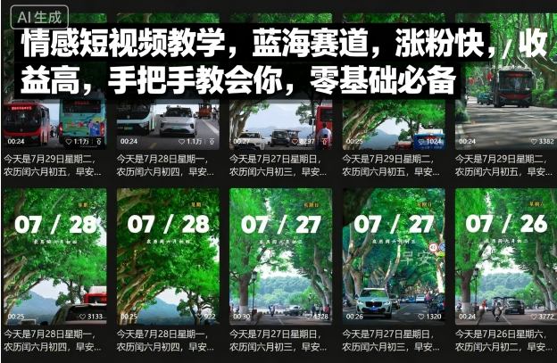 情感短视频教学，蓝海赛道，涨粉快，收益高，手把手教会你，零基础必备-juejinmima