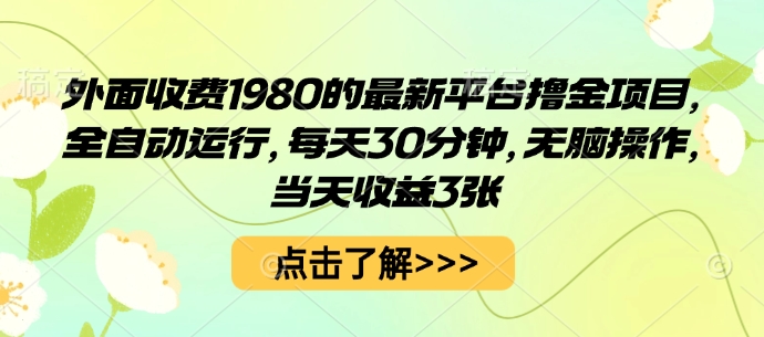 外面收费1980的最新平台撸金项目，全自动运行，每天30分钟，无脑操作，当天收益3张【揭秘】-juejinmima